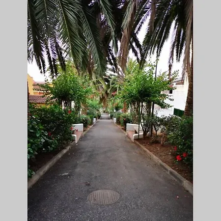 شقة Apartamento El *